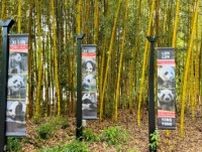 米アトランタ動物園で飼育されているジャイアントパンダが年末までに帰国へ―中国メディア