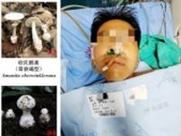 四川省で毒キノコ食べた家族、1人死亡3人重体―中国