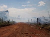 アマゾン「違法道路」、環境保護でコロンビア政府が破壊準備も停滞
