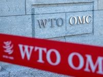 中国の産業支援策巡る「透明性欠如」、過剰生産の要因に＝ＷＴＯ