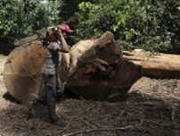 アングル：気候変動と農地拡大、アマゾン地域に迫る「二重の危機」