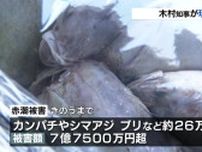 八代海 赤潮被害 7億7500万円　木村知事が現地視察　養殖業者「もう4年連続で不安」　