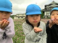 「おいしい」津山市の園児が地元の養蜂家とれんげパーティー　れんげとハチミツを楽しむ【岡山】