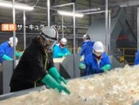 ペットボトルリサイクルの約3割を占める「水平リサイクル」岡山県北に大規模工場完成　その実力は？