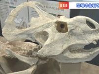 「爪が長いから強い感じ！めちゃくちゃカッコイイ」小学生が岡山理科大学の恐竜学博物館を見学