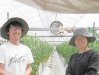 ＜がんばってます＞谷口礼展さん（38）・ひとみさん（42）=鹿島市　カラフルなミニトマト栽培
