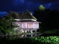 鍋島藩ゆかりの茶室、幽玄に　神野公園「隔林亭」造園業者らライトアップ