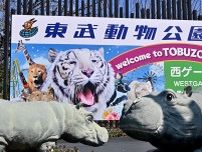 「かなりぬれる」　東武動物公園で夏季限定のウオーターイベント開催　来月13日から