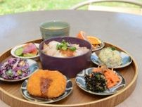 上野動物園近くにある『EVERYONEs CAFE』で味わう東京産の食材を取り入れた料理