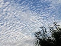 秋は「雲の展覧会」。散歩中に空を見上げてみよう。いわし雲とひつじ雲の違いとは？！