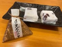 和菓子屋『市川ちもと』の喫茶スペースで楽しむ名物・手児奈の里はトロふわ食感！