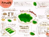 浜松では、端午の節句に巨大なかしわ餅を食べる？