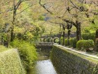 【京都散歩コース】銀閣寺 ・ 哲学の道〜世界遺産から水辺の自然を楽しむ道へ