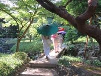 和傘を無料貸し出し！ 都立9庭園「和傘で庭園めぐり」が9月16日まで開催中。緑深き夏の庭園に色鮮やかな和傘が映える