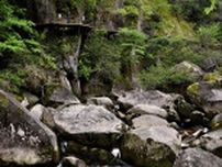ドラマ「ＶＩＶＡＮＴ」ロケ地に観光シーズン到来　島根・奥出雲の渓谷「鬼の舌震」、川開き