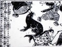竹島で捕獲のニホンアシカ　最古の公的記録発見！　１９０２年、京都の新聞記事