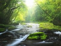 清流の水温は１３度　自然のクーラーでひんやり潤う渓谷散歩へ　熊本県の菊池渓谷　ニッポン楽旅事典