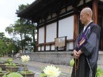 行基ゆかりの喜光寺でハスが開花　「ロータスロード」も