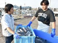 チヌ消費増へ 固定価格で買い取り　県漁連創設 おいしさＰＲし食害減