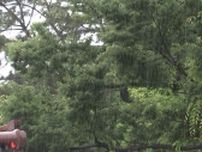 御殿場市の国道で倒木も…静岡県内、未明からの激しい雨で混乱
