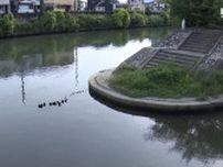 自ら川に入った80歳男性が意識不明の重体に＝静岡・清水区【速報】