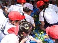 「拾うの楽しかった」「食べ方ユーチューブで調べる」小学生が梅の実収穫に挑戦＝静岡・熱海梅園