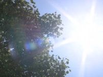「まぶしいし暑いし」気温上昇、午前中に真夏日のところも　18観測地点中17地点で25℃超え＝静岡
