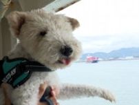「富士山が見えるワン」 愛犬と一緒に船旅を　駿河湾フェリー 船内にペットコーナー設置へ　利用客増の起爆剤に=静岡