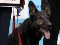「最初から海の方を気にしていた」タイムリミットは1時間…警察犬“2年生”の嗅覚が命を救う