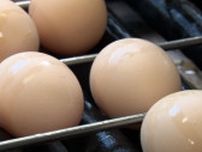 「一度入ったら全滅」養鶏場は警戒…鳥インフルエンザで卵の価格は? 需要が高まる季節を前に店も「不安」