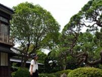 雨の日でも心は晴れに　栃木・横山郷土館で「あじさいまつり」