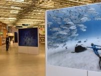 図書館に広がる海の世界「水族表現家」二木さんが写真展　那須塩原市内で初