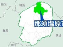 豚熱埋却地周辺水質は異常なし　栃木県、那須塩原で検査