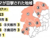 栃木県内の６月のクマ目撃　月間最多の84件、前年と比べ53件増加　日光と那須で７割占める