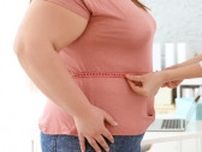 女性も50代以降は内臓脂肪型肥満が増える！ “週1夜断食”で作る、心身に負担ナシの最強の細胞とは