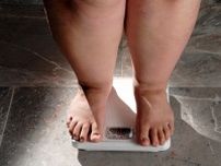糖質制限すれば必しもず痩せるわけではない…人間が太るかどうかを決めるたった１つの要素
