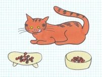 お皿のかたちはネコの食欲に影響する？　ヒゲのストレスを検証