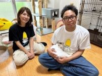 保護団体「猫の森」とサンシャイン池崎さんがタッグ　保護猫施設の建設へ支援募る　
