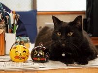 江戸風鈴の招き猫「黒マル」　伝統工芸品の魅力発信にも一役