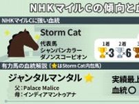 【NHKマイルC】Storm Cat内包馬は下位人気でも活躍　ジャンタルマンタルは実績、血統面で文句なし