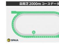 函館芝2000mはハービンジャー産駒、距離延長なら単勝回収率218%　騎手別データなど東大HCが検証