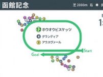 【函館記念回顧】ホウオウビスケッツがエリモハリアー以来の巴賞から連勝　勝因は馬場と仕掛けにあり