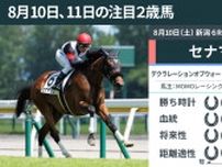 【注目2歳馬】好フットワークで4馬身差の快勝　デクラレーションオブウォー産駒セナマリン