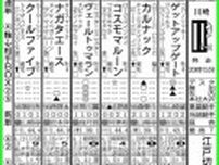 【川崎11R・江戸切子特別】ヴェールトゥマラン本命！