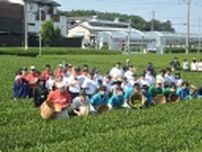 「午後の紅茶」の知見を活かし工業高校生がつくる狭山の和紅茶“狭紅茶”を支援、地域密着活動で持続可能な社会に貢献/キリンビバレッジ