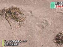 散歩中に気づいた黒い影…早朝の海岸、砂浜にクマ足跡はっきりと…海水浴場閉鎖　北海道北見市　