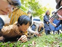 虫や鳥の目で街中の植物を見てみよう！ 視点植物観察家・鈴木純さんが伝える「小さな発見」の楽しみ方