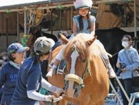 引退した競走馬の幸せを願って…子どもたちが乗馬や餌やり 「馬と子どものふれあい体験」開催