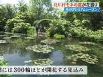 「今がプレミアムシーズン」北川村モネの庭が花盛り　期間限定スイーツも【高知】