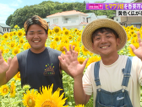 「高知一のヒマワリ畑へ」香美市の若手農家が挑戦！　畑を観光地にして故郷を元気に